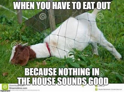 50+ Best Farming Memes, So Funny Your Goat Will .